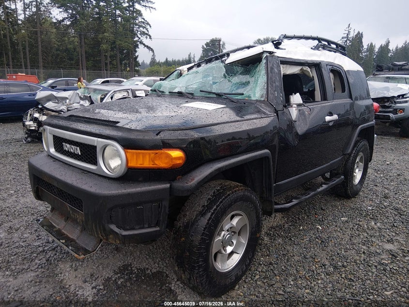 2010 Toyota Fj Cruiser VIN: JTEBU4BF3AK073838 Lot: 45645039