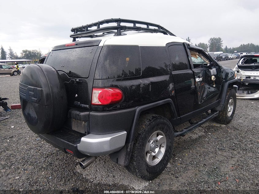 2010 Toyota Fj Cruiser VIN: JTEBU4BF3AK073838 Lot: 45645039