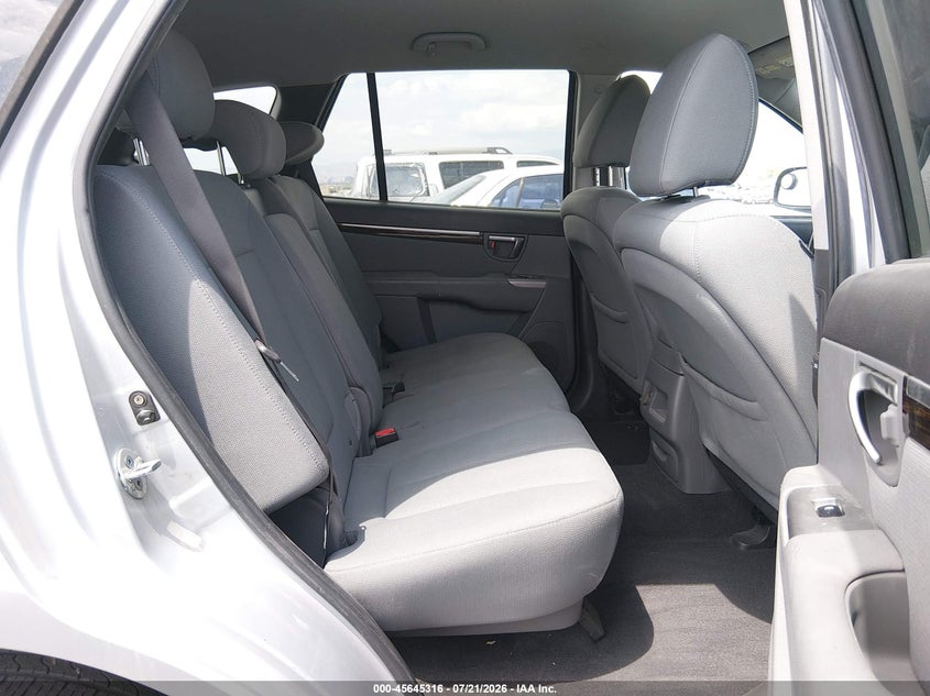 2010 Hyundai Santa Fe Gls VIN: 5NMSGDAB2AH349772 Lot: 45645316