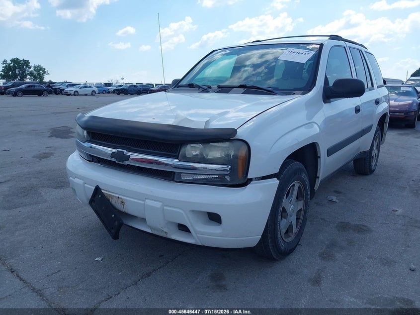 2005 Chevrolet Trailblazer Ls VIN: 1GNDT13S352237709 Lot: 45646447