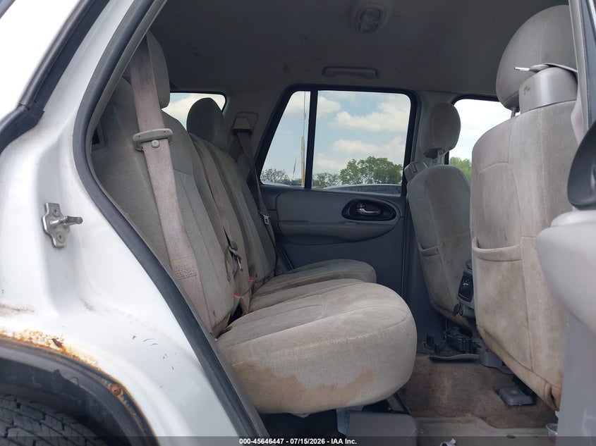 2005 Chevrolet Trailblazer Ls VIN: 1GNDT13S352237709 Lot: 45646447