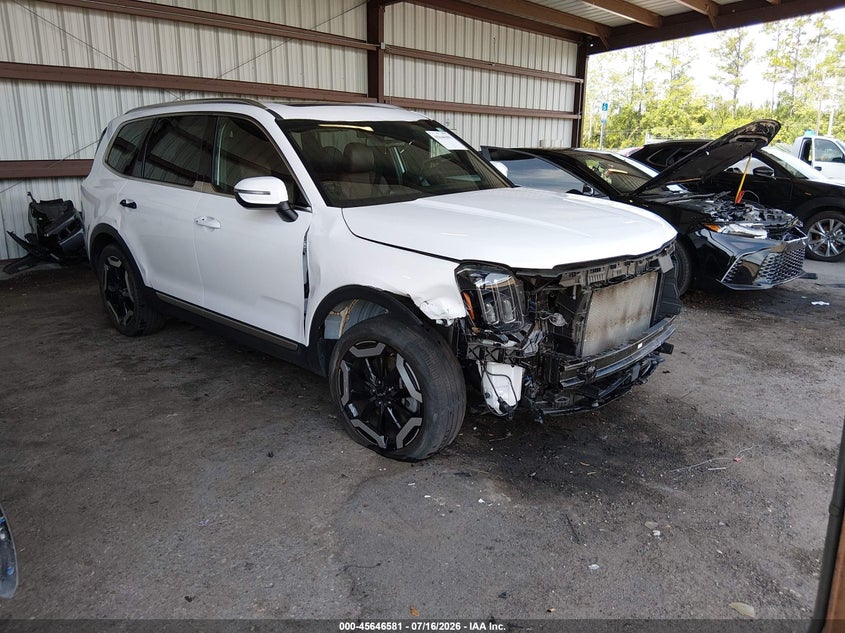 2024 Kia Telluride Ex VIN: 5XYP34GC2RG437275 Lot: 45646581
