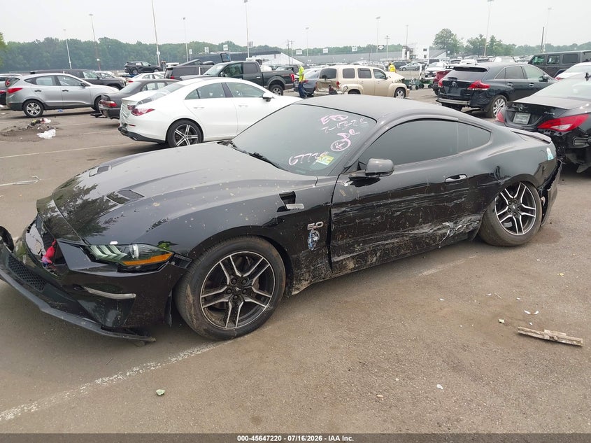 FORD MUSTANG 2019 VIN 1FA6P8CF7K5167732