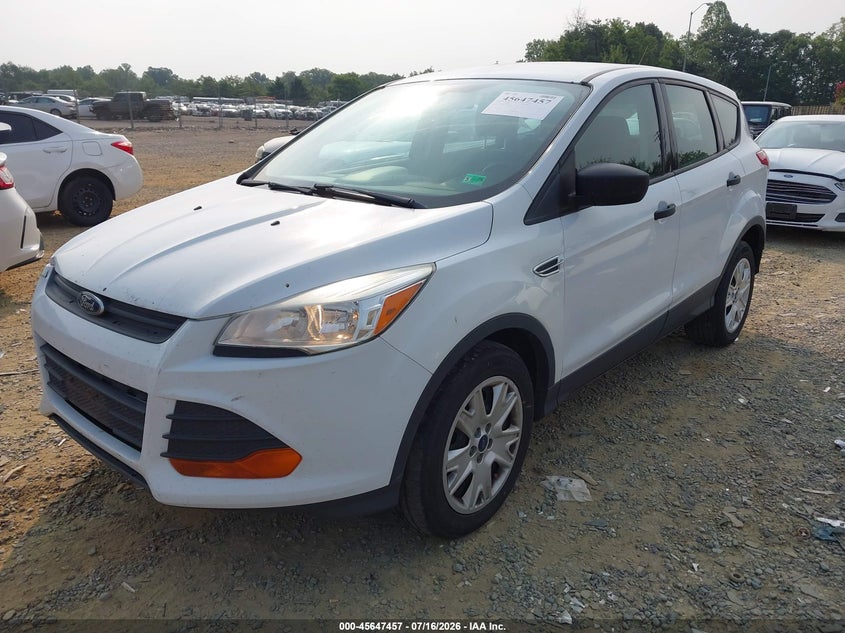 AtlanticExpress - Ford Escape