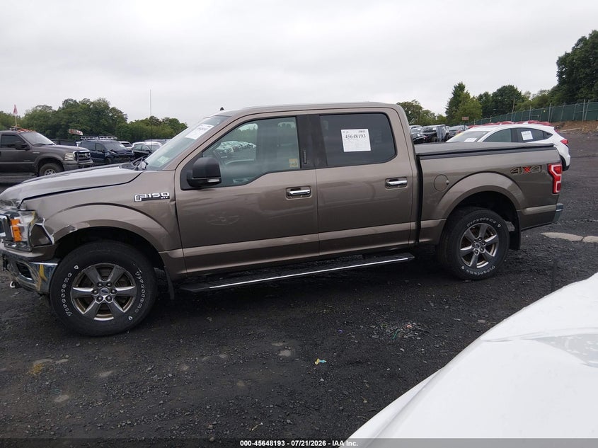 2020 Ford F-150 Xlt VIN: 1FTEW1EP0LFB50238 Lot: 45648193