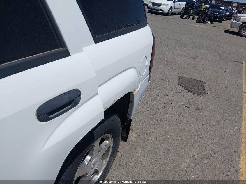 2005 Chevrolet Trailblazer Ls VIN: 1GNDT13S452342100 Lot: 45649288