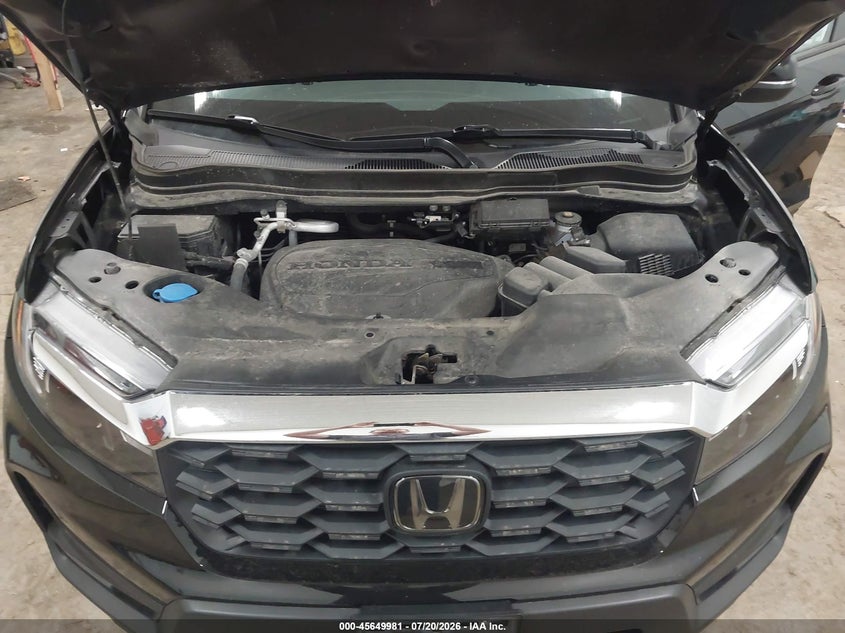 HONDA PASSPORT 2024 VIN 5FNYF8H5XRB014373