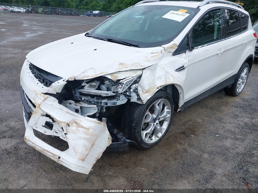 2014 Ford Escape Titanium VIN: 1FMCU9J9XEUA12011 Lot: 45650259