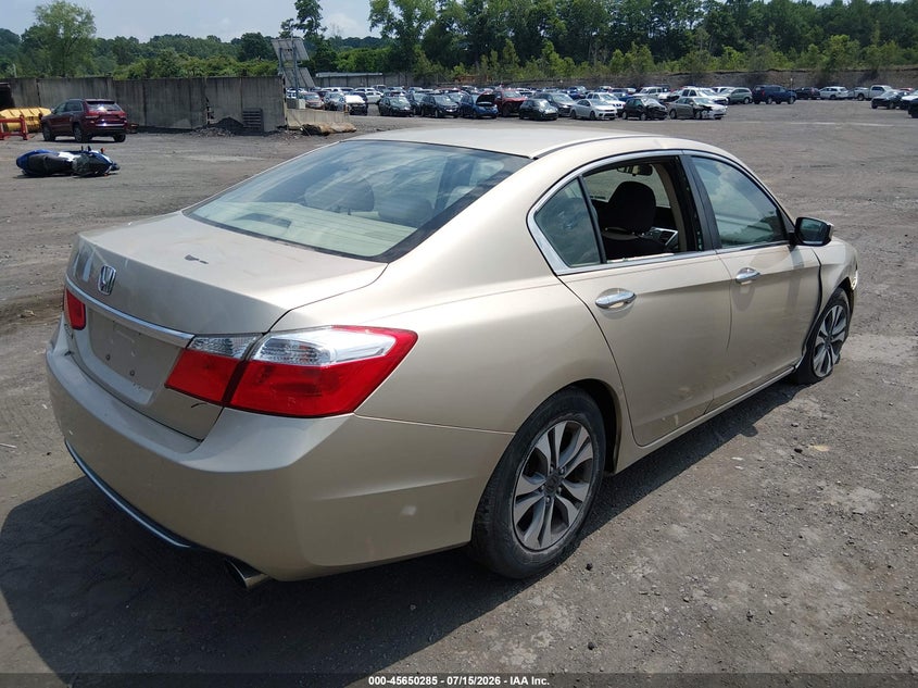 AtlanticExpress - Honda Accord