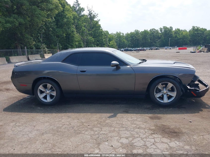 2018 Dodge Challenger Sxt VIN: 2C3CDZAG6JH245873 Lot: 45650468