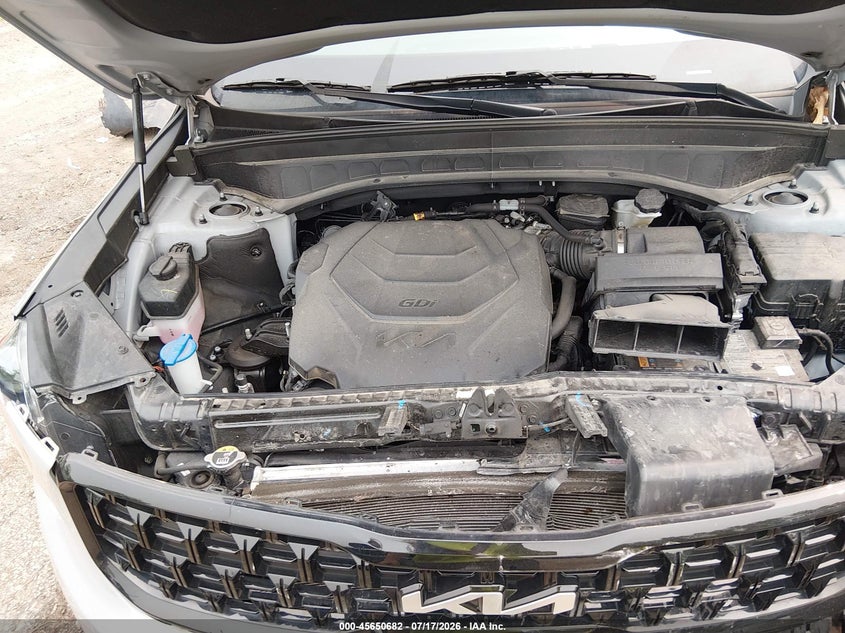2024 Kia Telluride Ex X-Line VIN: 5XYP3DGC2RG501234 Lot: 45650682