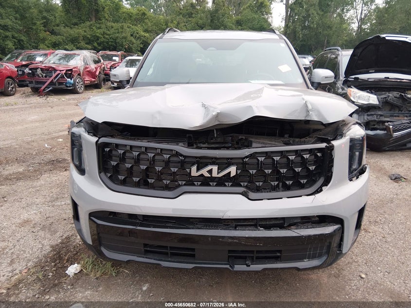 2024 Kia Telluride Ex X-Line VIN: 5XYP3DGC2RG501234 Lot: 45650682