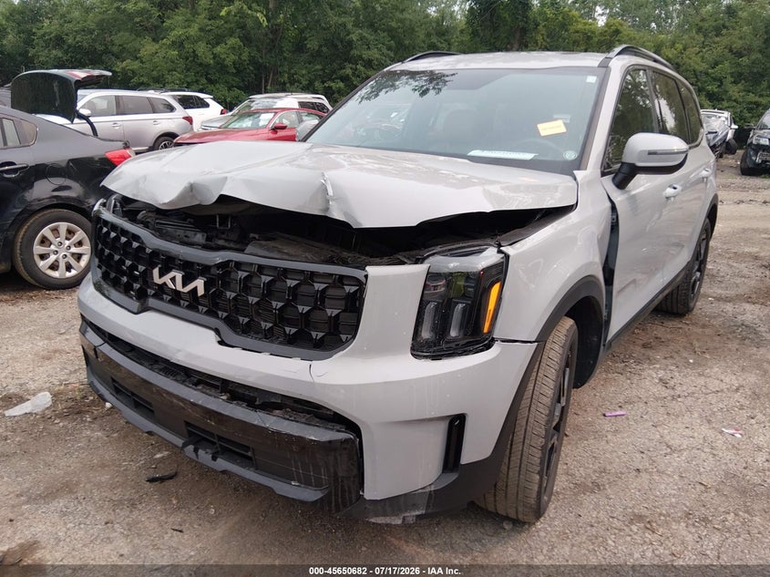 2024 Kia Telluride Ex X-Line VIN: 5XYP3DGC2RG501234 Lot: 45650682