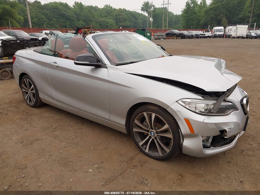 2015 BMW 228I xDrive VIN: WBA1K7C57FV235065 Lot: 45650775