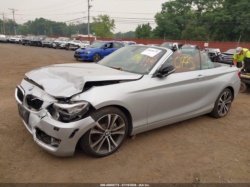 2015 BMW 228I xDrive VIN: WBA1K7C57FV235065 Lot: 45650775