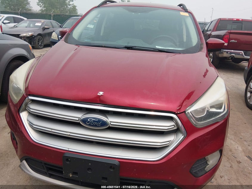 AtlanticExpress - Ford Escape