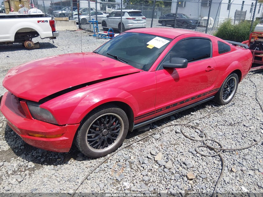 FORD MUSTANG 2005 VIN 1ZVFT80N555107225