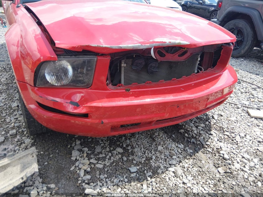 2005 Ford Mustang V6 Deluxe/V6 Premium VIN: 1ZVFT80N555107225 Lot: 45652712