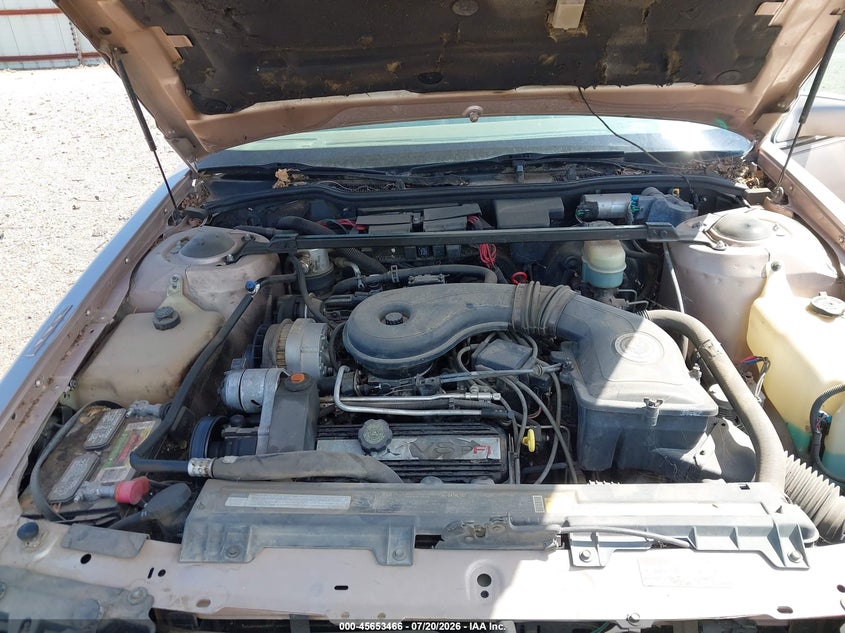 1991 Cadillac Deville VIN: 1G6CD53B7M4314385 Lot: 45653466