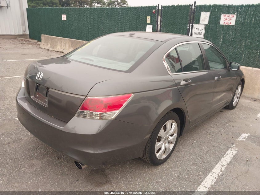 AtlanticExpress - Honda Accord