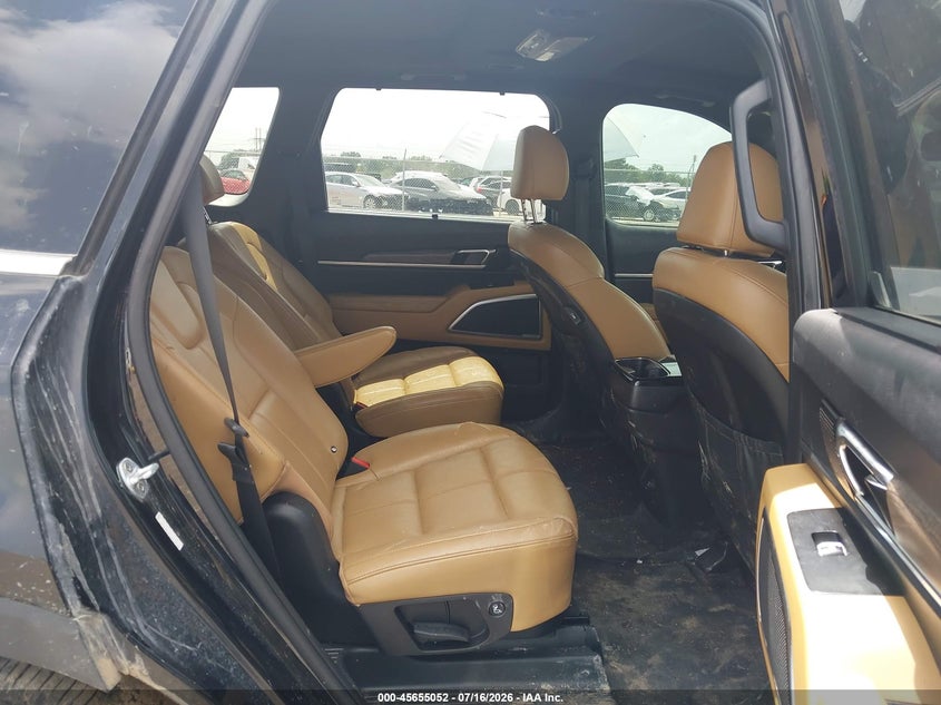 2020 Kia Telluride Sx VIN: 5XYP5DHC0LG029812 Lot: 45655052