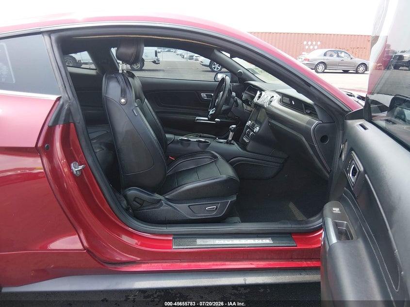 2019 Ford Mustang Gt Premium VIN: 1FA6P8CF4K5193947 Lot: 45655783