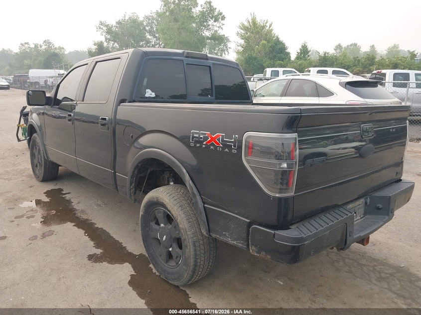2010 FORD F-150 auction photo 3