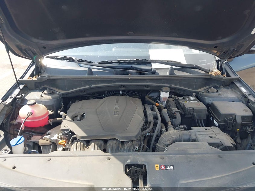 2023 Kia Sportage X-Line VIN: 5XYK6CAF8PG019637 Lot: 45656828