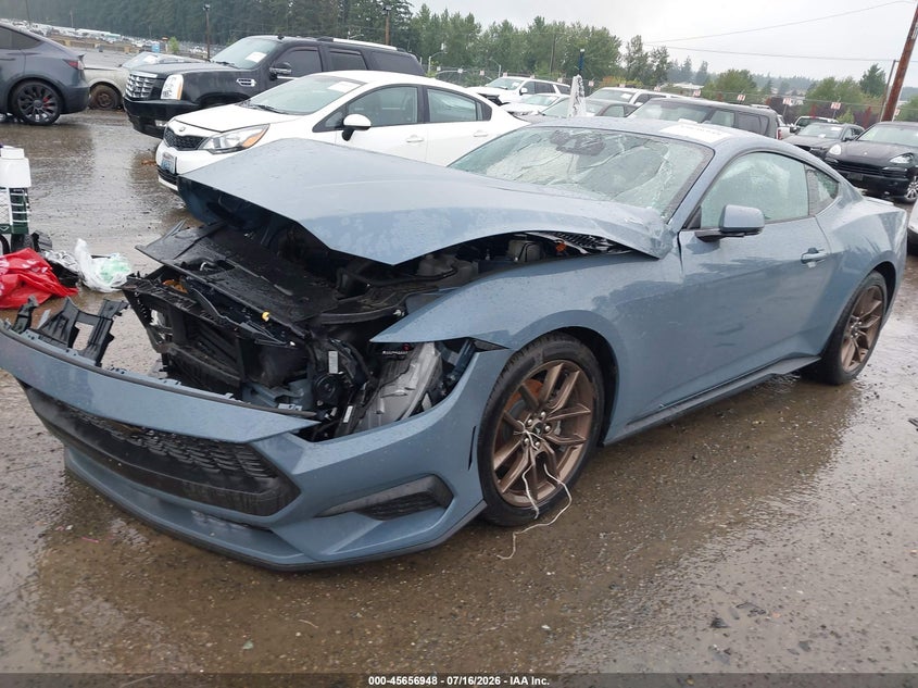 1FA6P8TH8R5121824 2024 Ford Mustang Ecoboost Premium Fastback photo 1