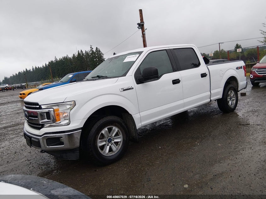 2019 Ford F-150 Xlt 1FTFW1E44KKE53247 photo 1