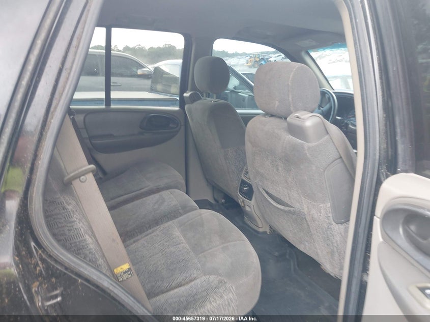 2003 Chevrolet Trailblazer Ls VIN: 1GNDT13S732307631 Lot: 45657319