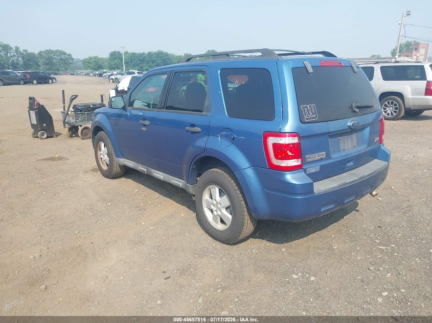 AtlanticExpress - Ford Escape