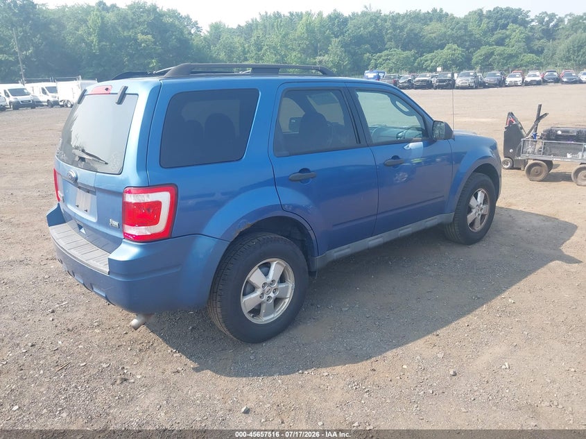 AtlanticExpress - Ford Escape