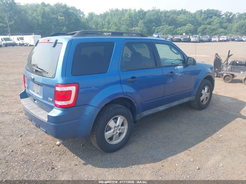 AtlanticExpress - Ford Escape