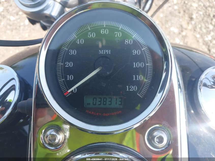 2008 Harley-Davidson Fxdl VIN: 1HD1GN41X8K338729 Lot: 45658641