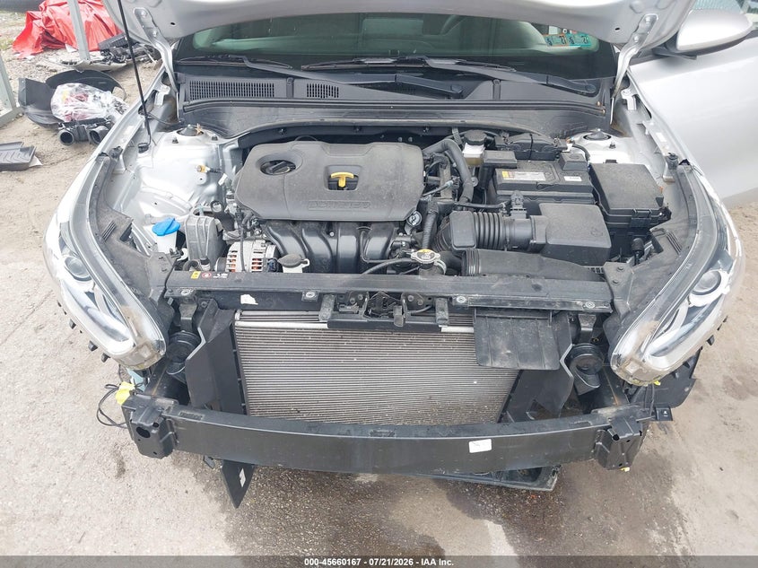 2021 Kia Forte Lxs VIN: 3KPF24AD4ME326572 Lot: 45660167