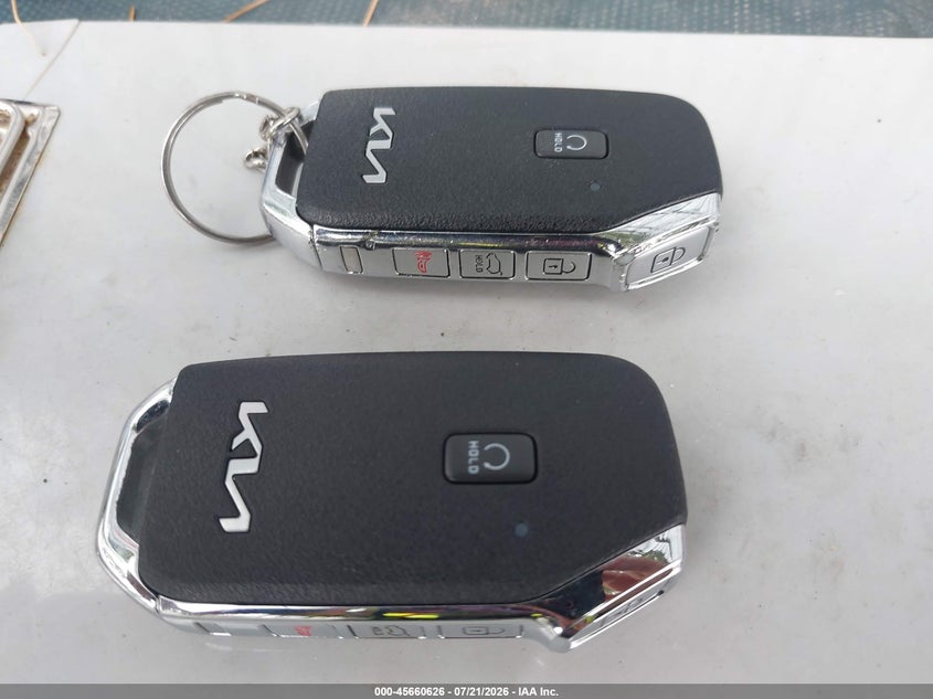 2022 Kia Telluride Ex VIN: 5XYP34HC6NG300767 Lot: 45660626