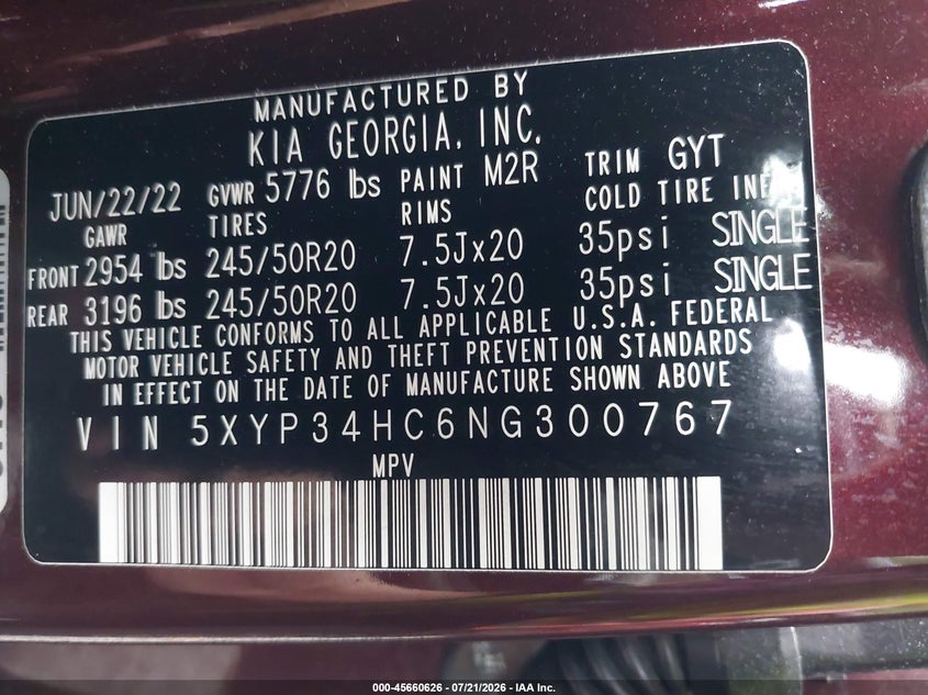 2022 Kia Telluride Ex VIN: 5XYP34HC6NG300767 Lot: 45660626