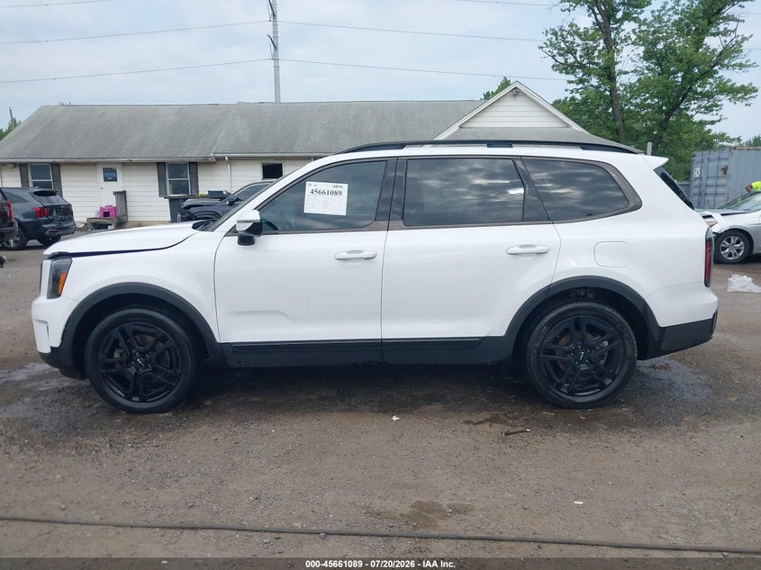2024 Kia Telluride Sx X-Line VIN: 5XYP5DGC7RG510702 Lot: 45661089