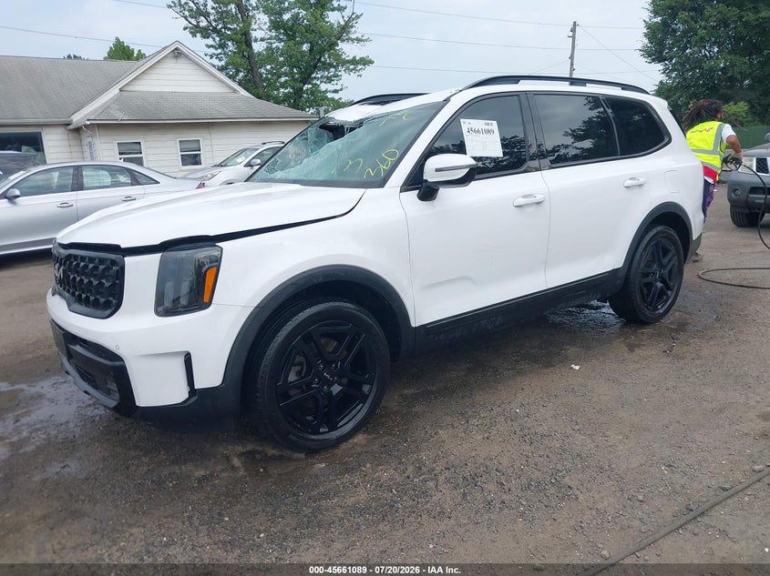 2024 Kia Telluride Sx X-Line VIN: 5XYP5DGC7RG510702 Lot: 45661089