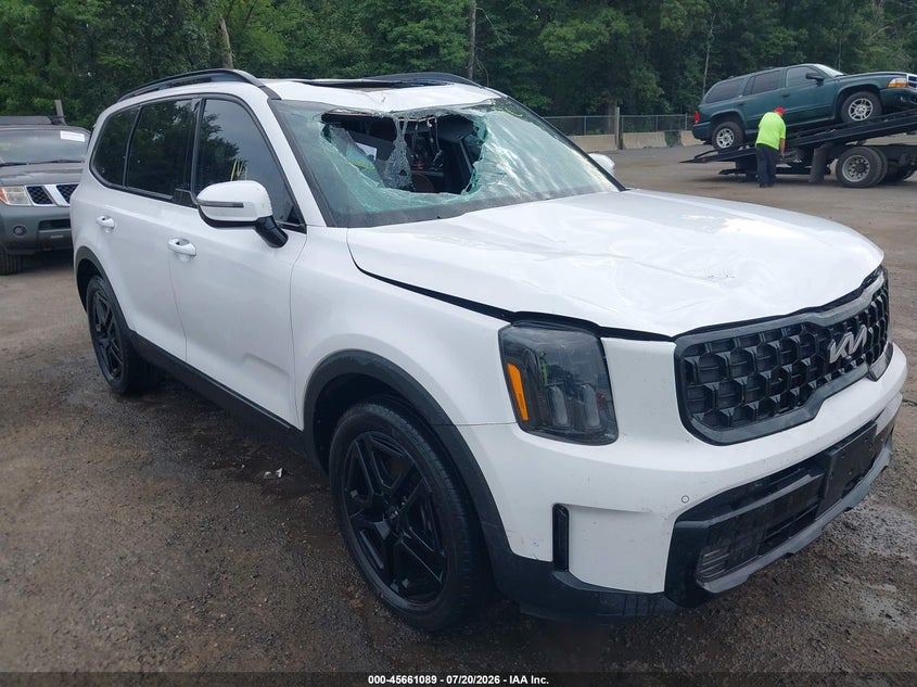 2024 Kia Telluride Sx X-Line VIN: 5XYP5DGC7RG510702 Lot: 45661089