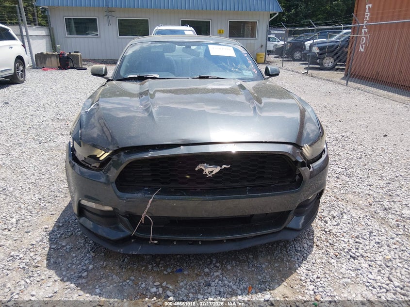 FORD MUSTANG - zdjęcie 12