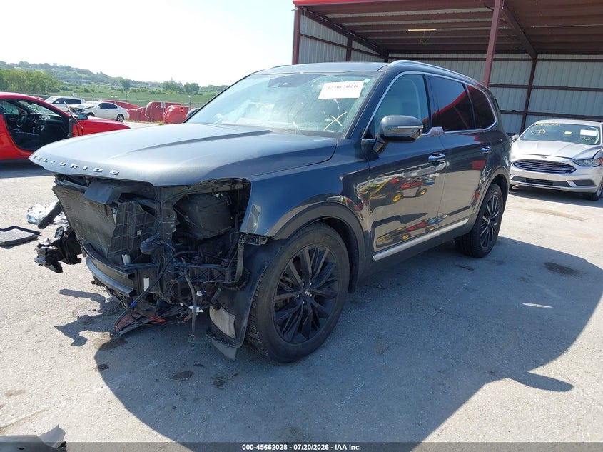 2020 Kia Telluride Sx VIN: 5XYP5DHCXLG061618 Lot: 45662028
