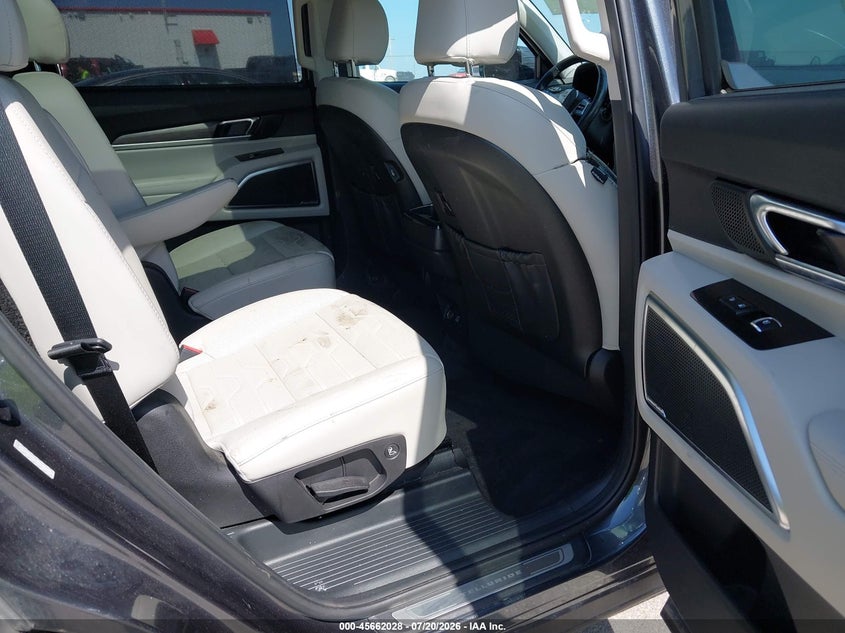 2020 Kia Telluride Sx VIN: 5XYP5DHCXLG061618 Lot: 45662028