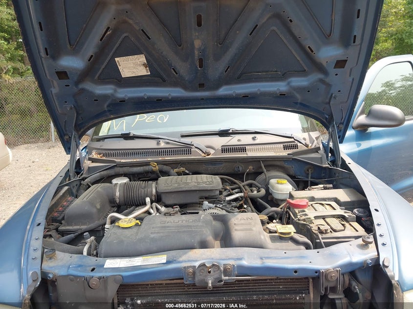 2004 Dodge Dakota Sport/Sxt VIN: 1D7HG38N74S770695 Lot: 45662531