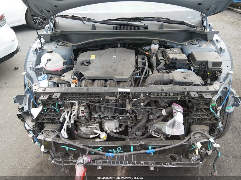 2025 Kia Sportage Ex VIN: 5XYK33DF9SG255646 Lot: 45662901