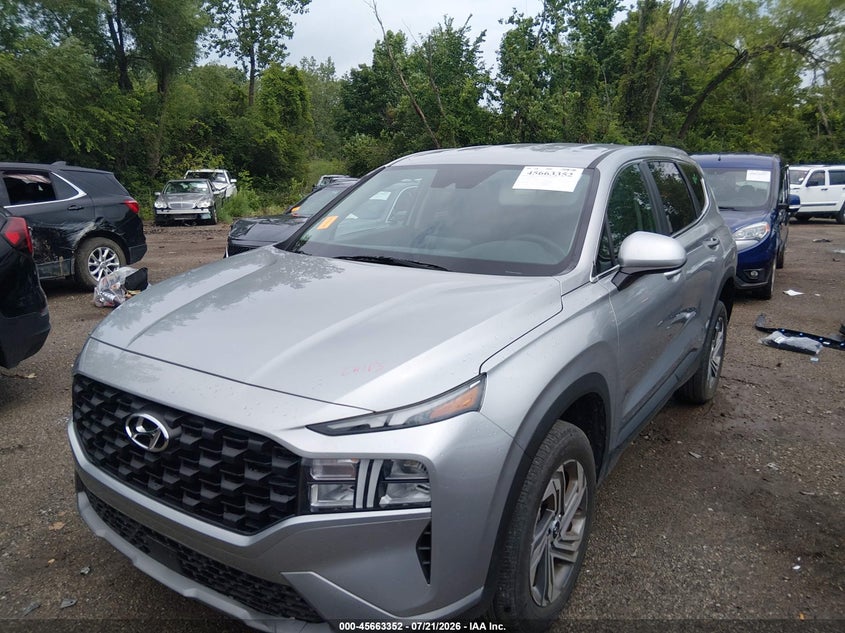 2023 Hyundai Santa Fe, Удар ззаду, IAAI, VIN 5NMS1DAJ6PH613805 — фото 2