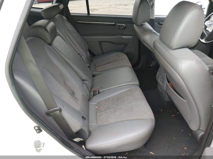 2010 Hyundai Santa Fe Se VIN: 5NMSHDAG8AH387659 Lot: 45664564