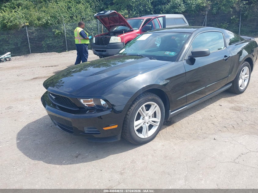 Vin: 1zvbp8an8a5175899, lot: 46163182, ford mustang v6/v6 premium 20102