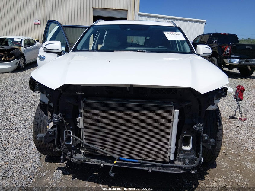 2021 Hyundai Palisade Sel VIN: KM8R34HE1MU195803 Lot: 45665188
